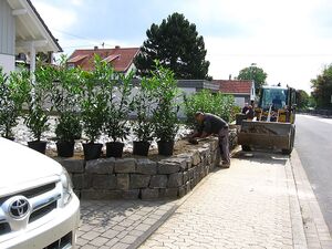 Garten & Landschaftsbau Dirk Mohr
